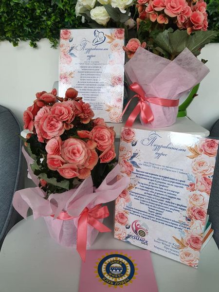 iwLovech1